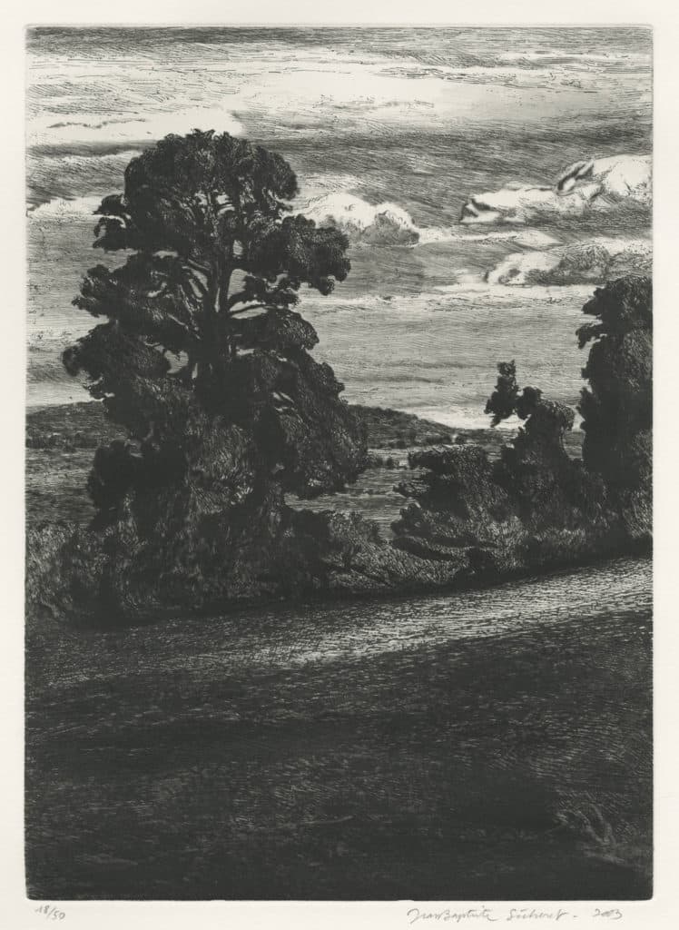 Sécheret – Le dernier des grands chênes