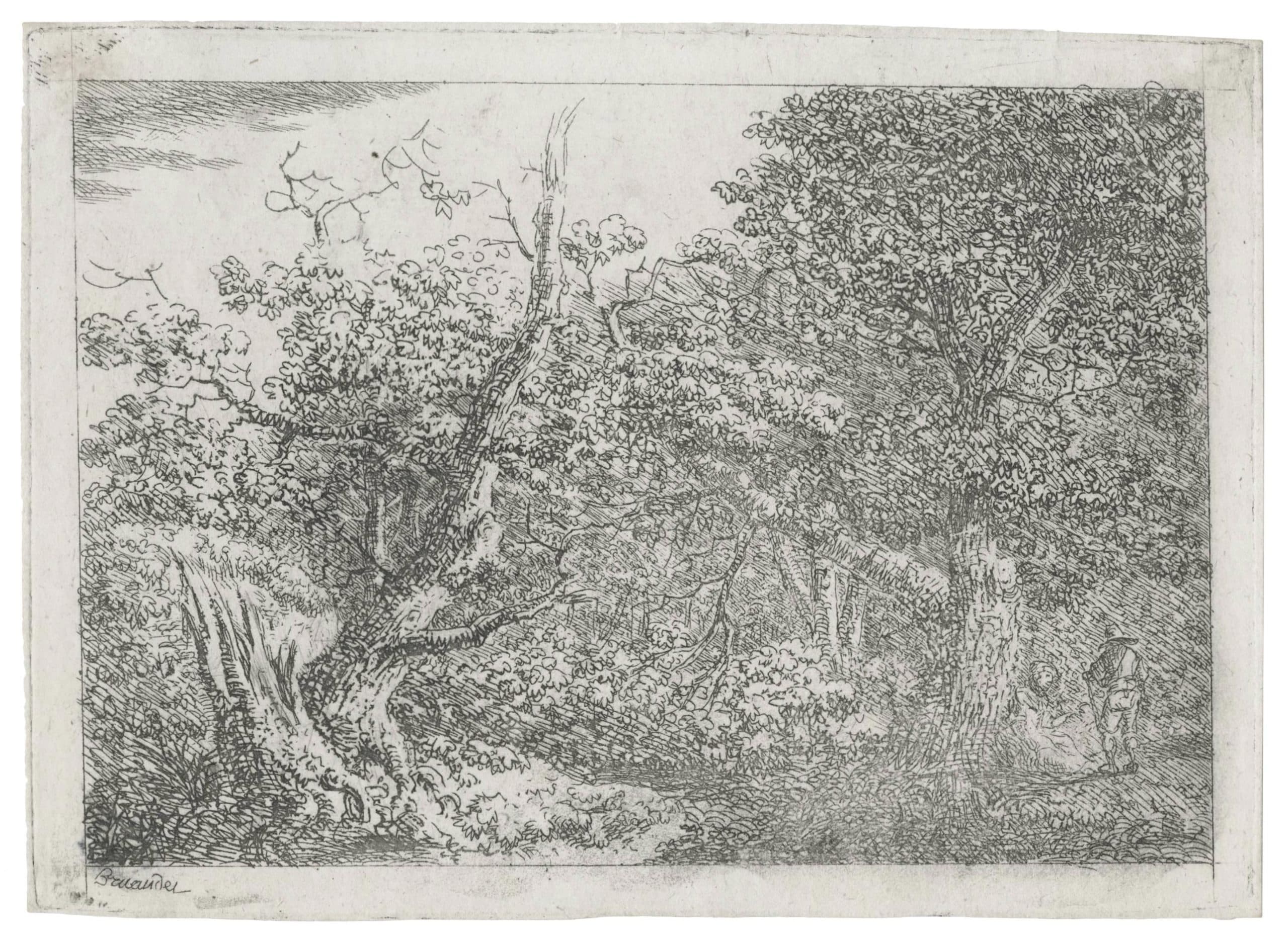 Coin de forêt, couple au repos près d’un chemin bordé d’arbres