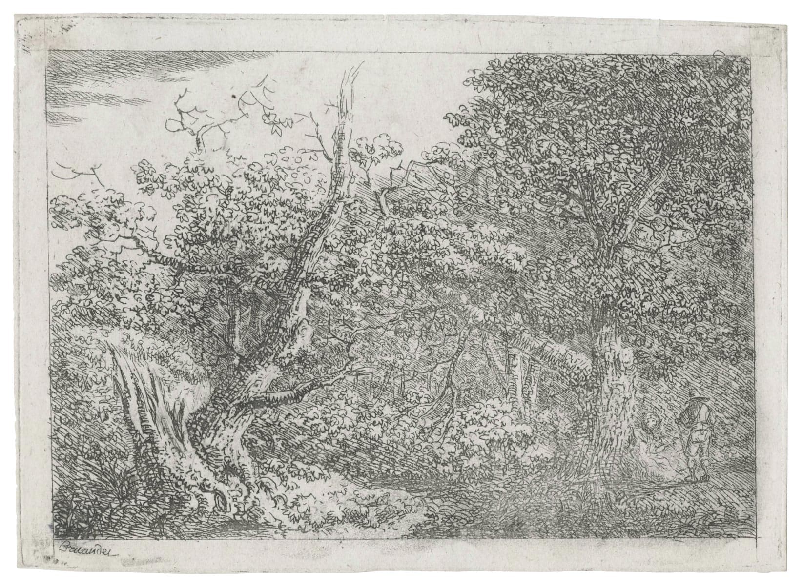 Coin de forêt, couple au repos près d’un chemin bordé d’arbres