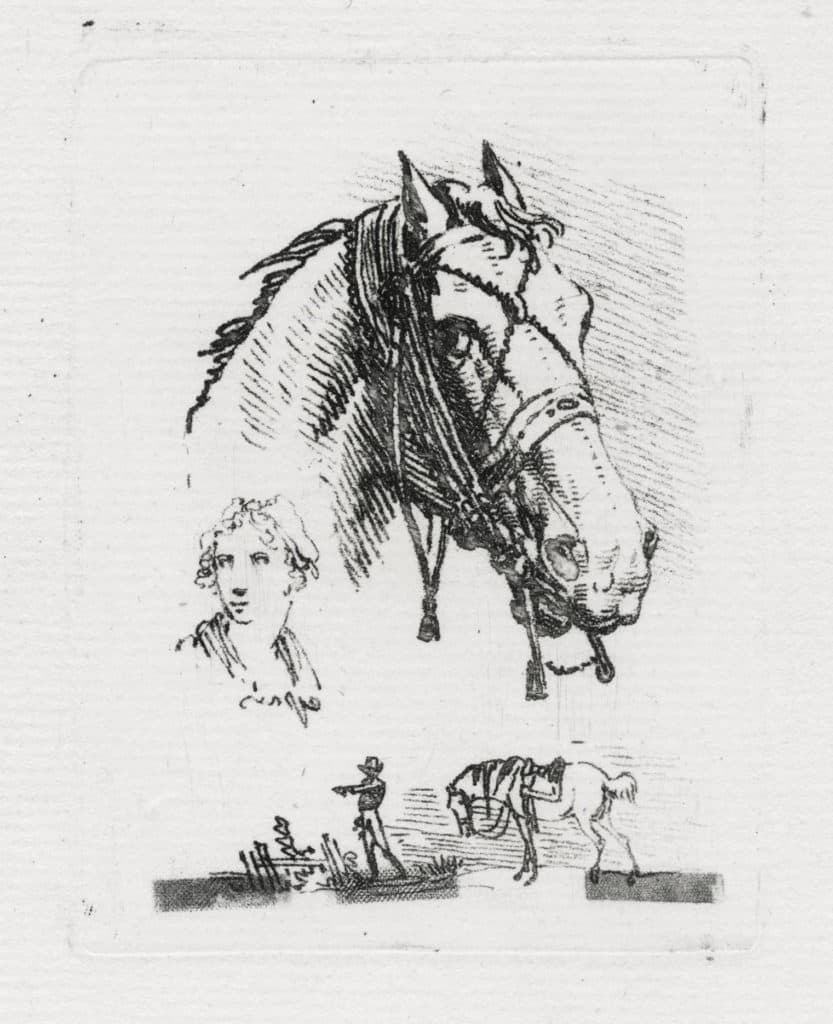 Swebach-Desfontaines – Tête de cheval tournée à droite