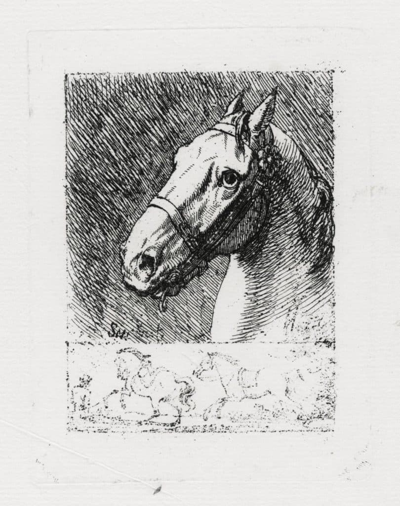 Swebach-Desfontaines – Tête de cheval tournée à gauche