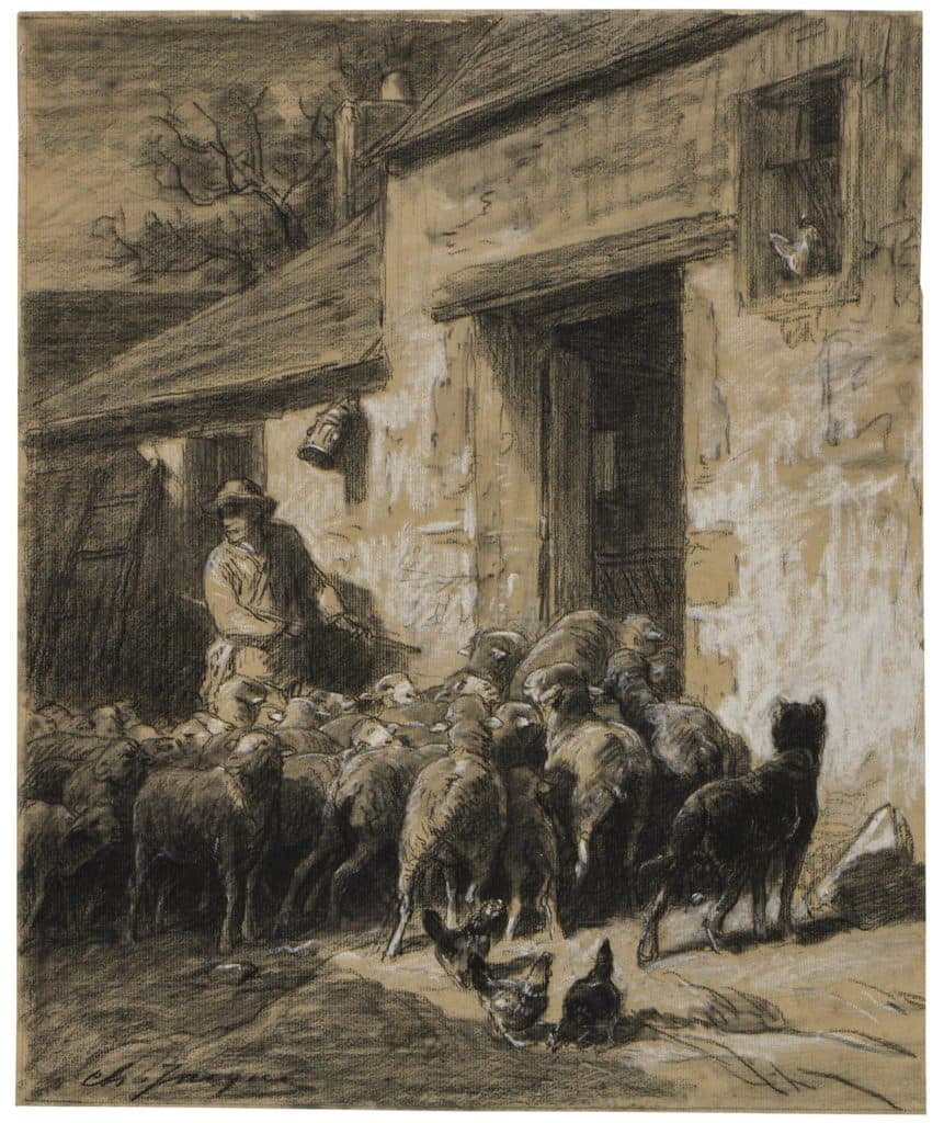 Jacque – Berger faisant rentrer ses moutons