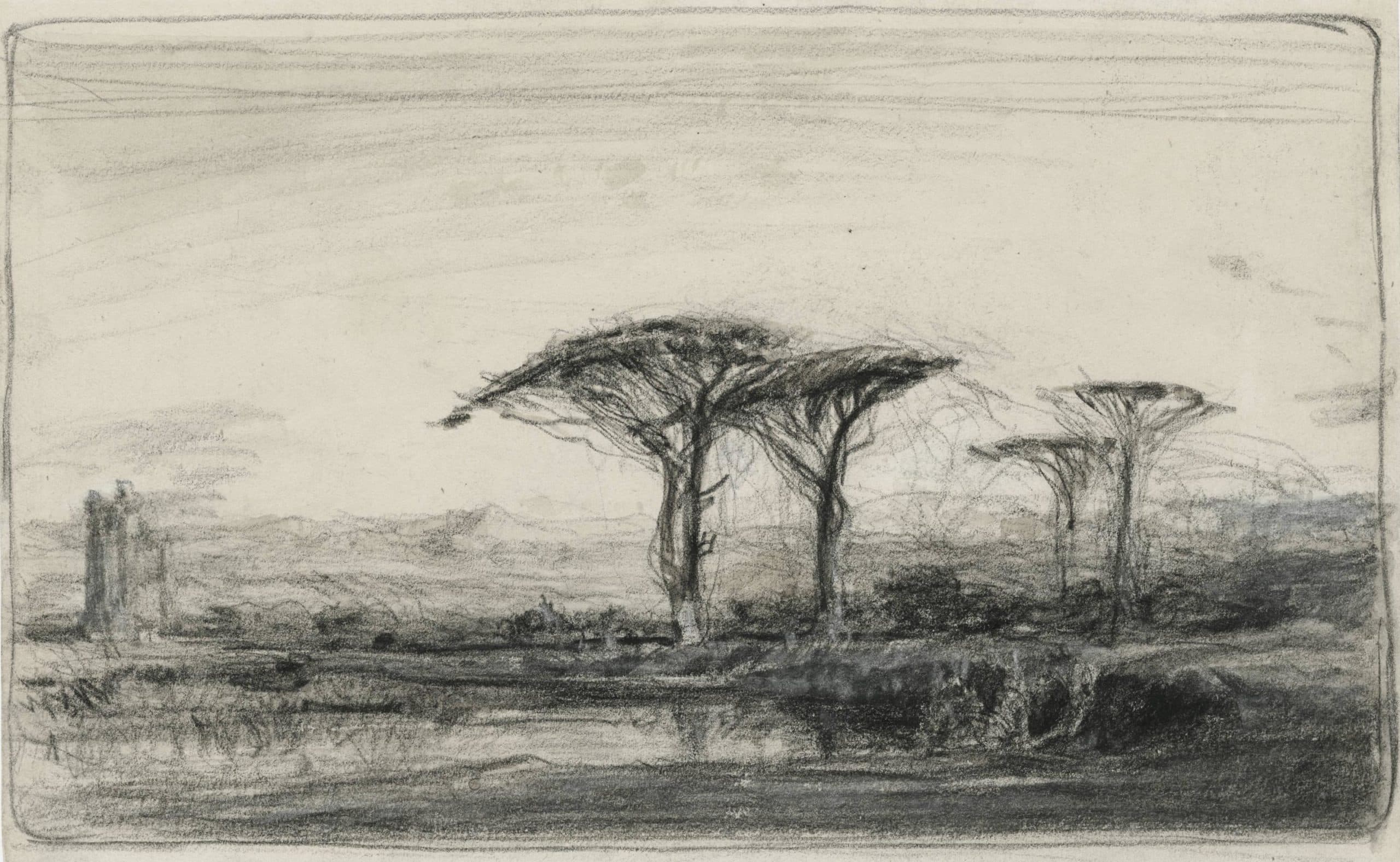 Landscape with Acacias