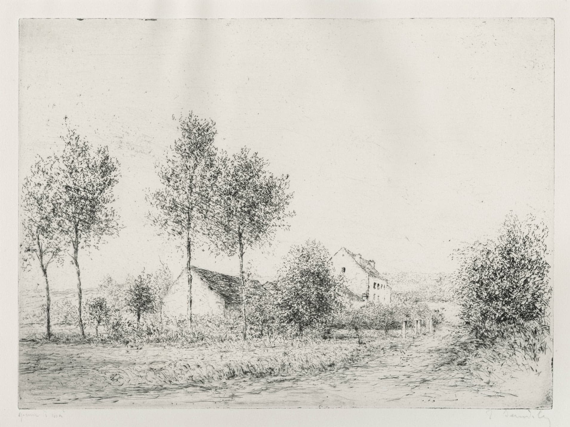 Peupliers devant le moulin des Forges