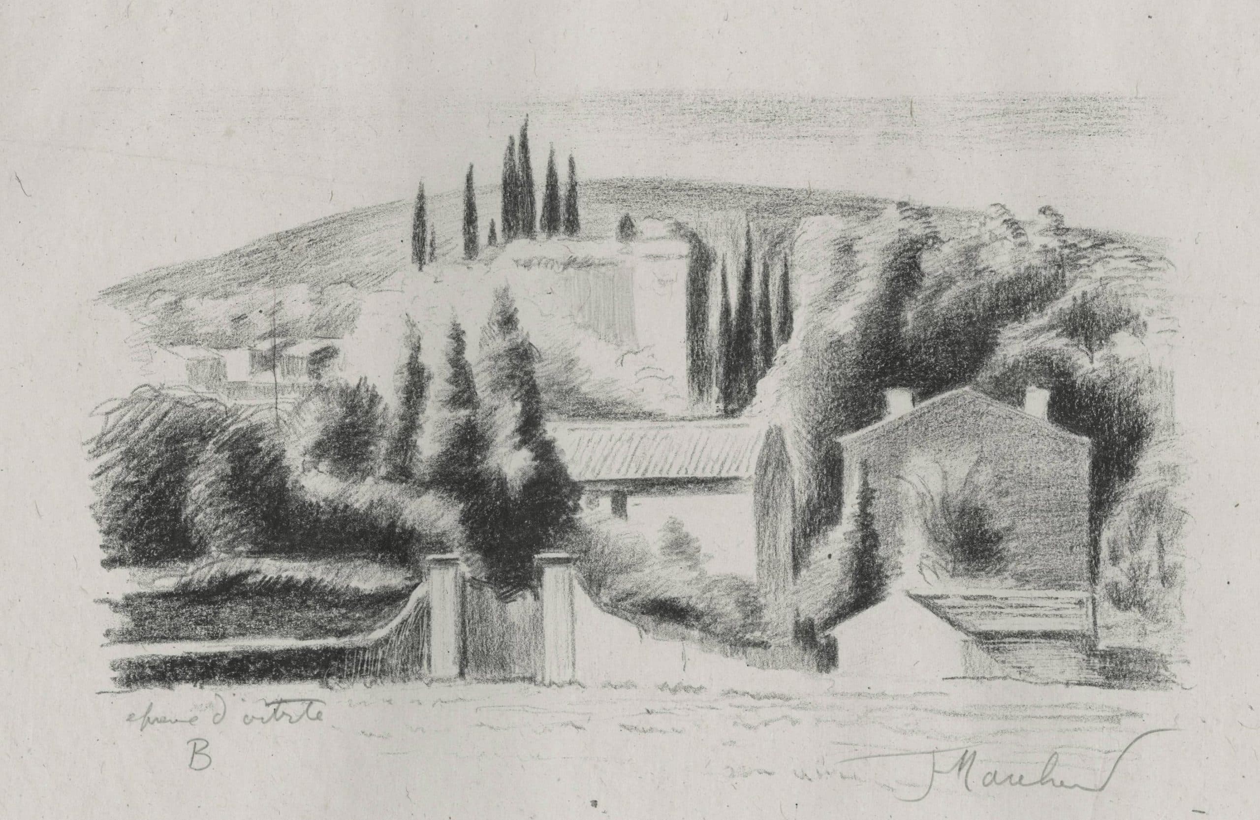 Landscape from the south of France