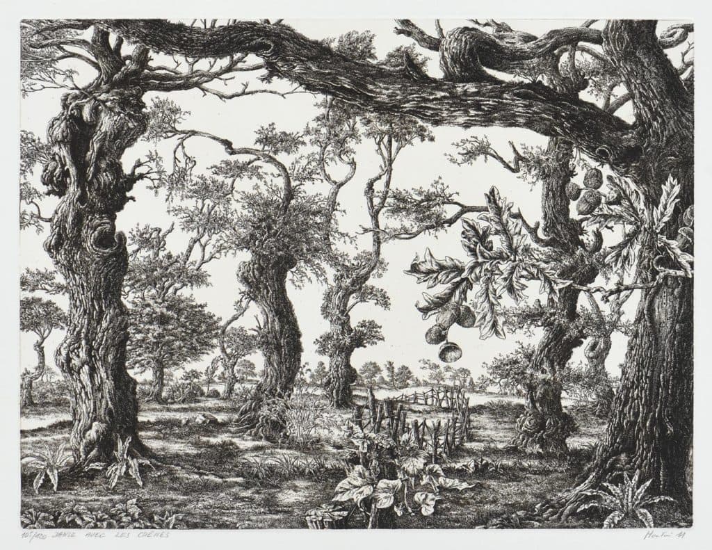 Houtin – Danse avec les chênes