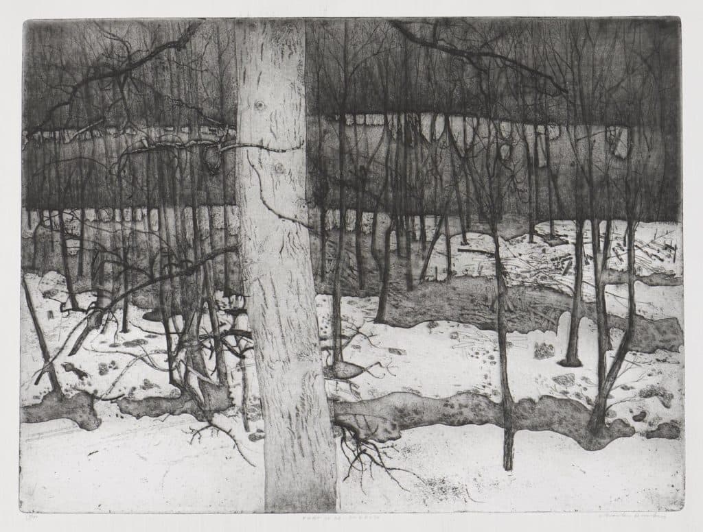 Donker – Forteresse sous la neige