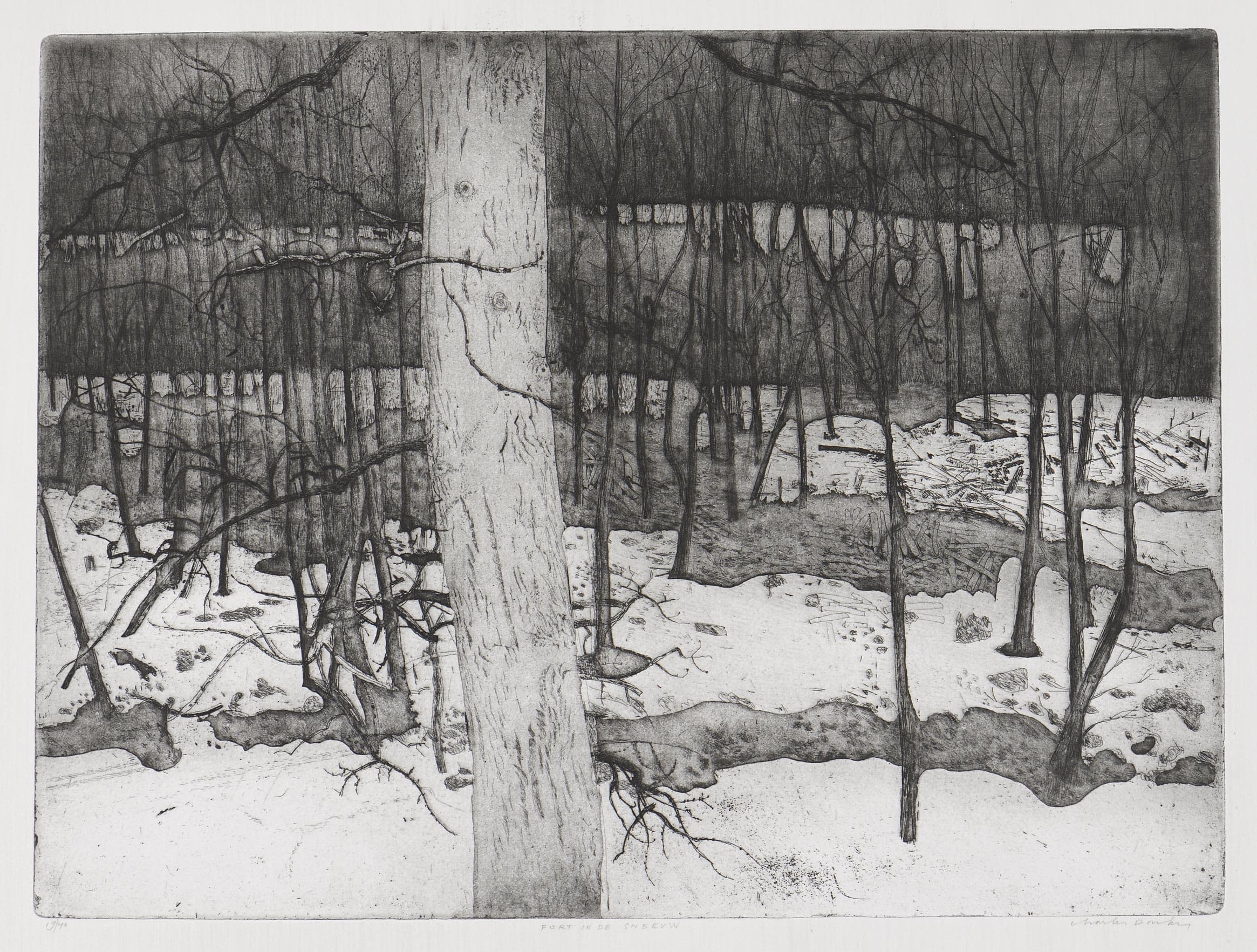 Forteresse sous la neige