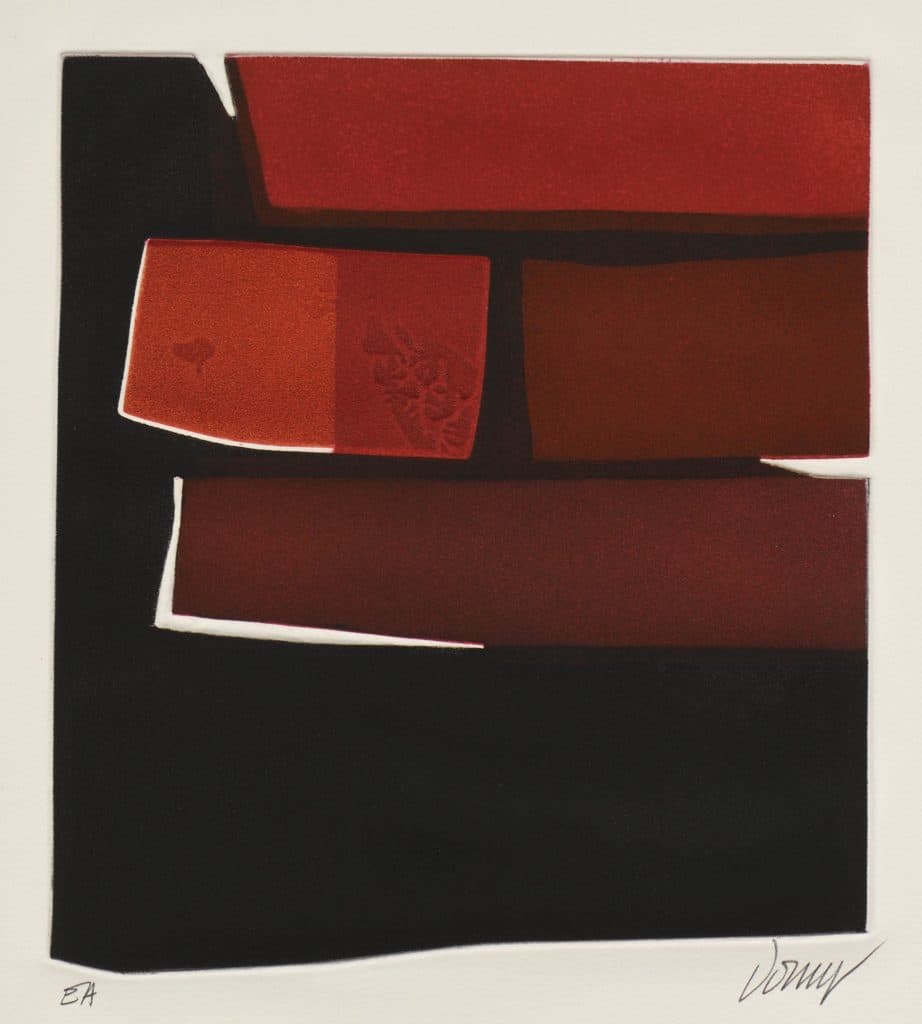 Dorny – Jeu de construction 3