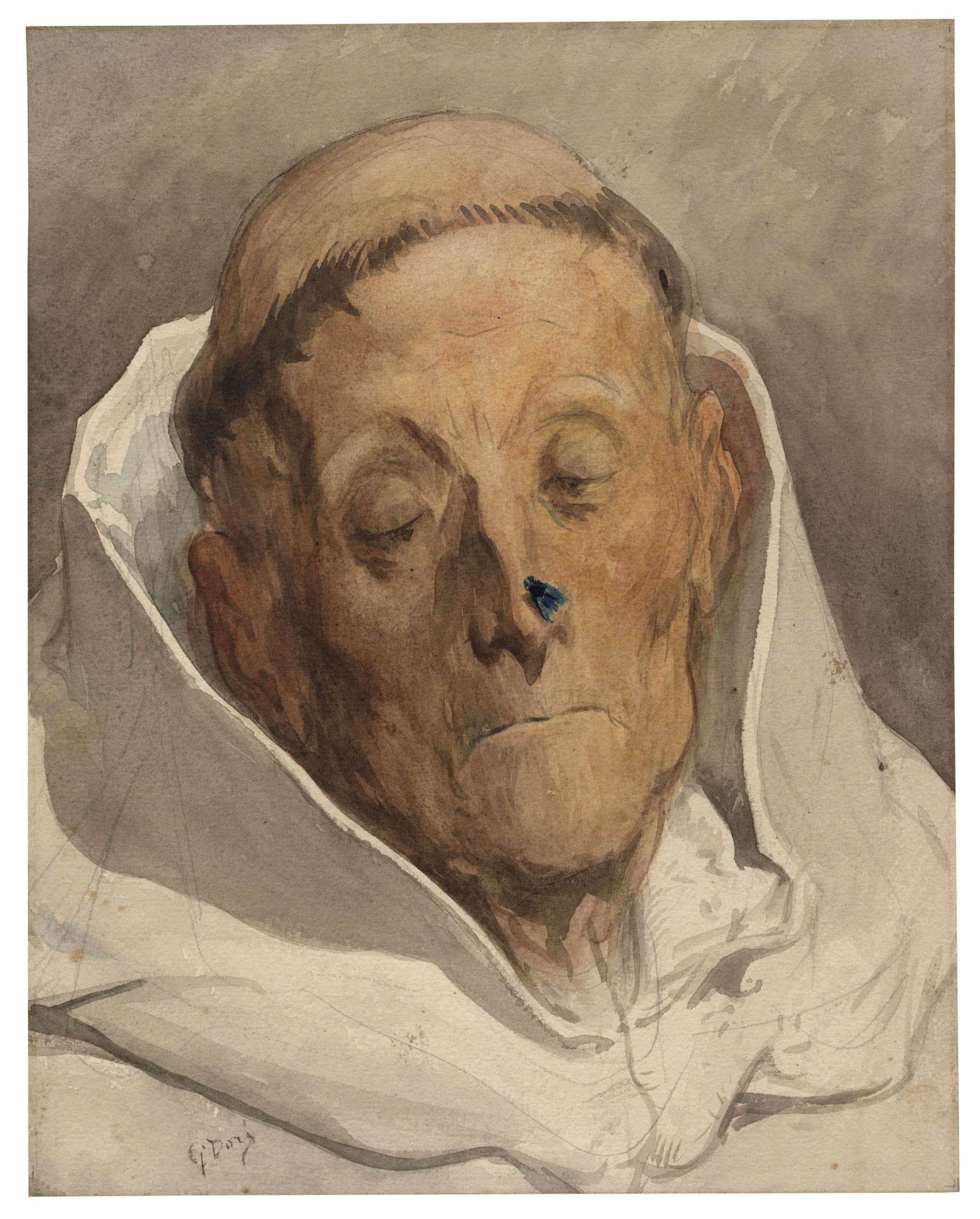 Tête de moine âgé, louchant sur une mouche venue se poser sur son nez