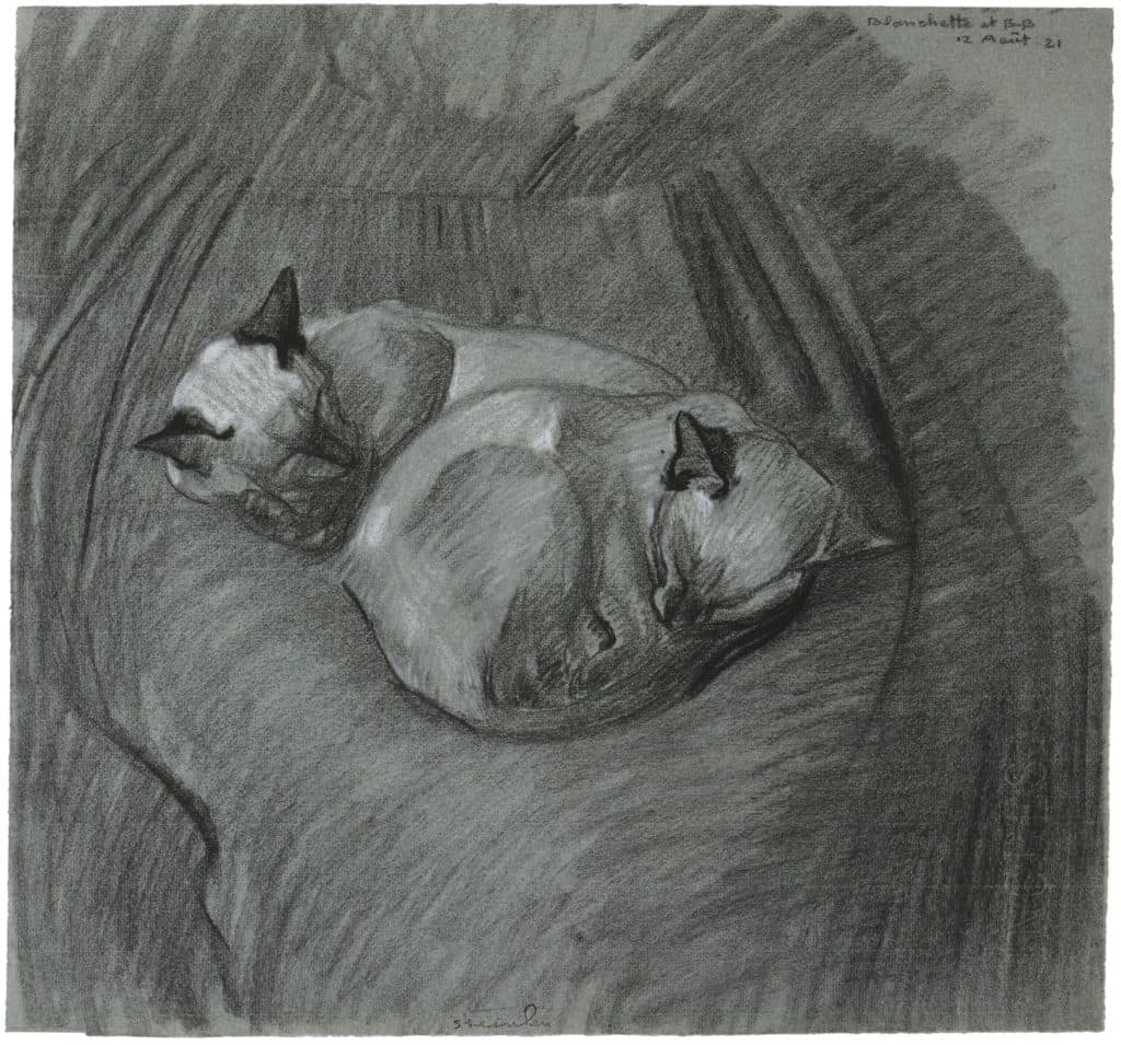 Steinlen – Blanchette et B. B. ; deux chats endormis