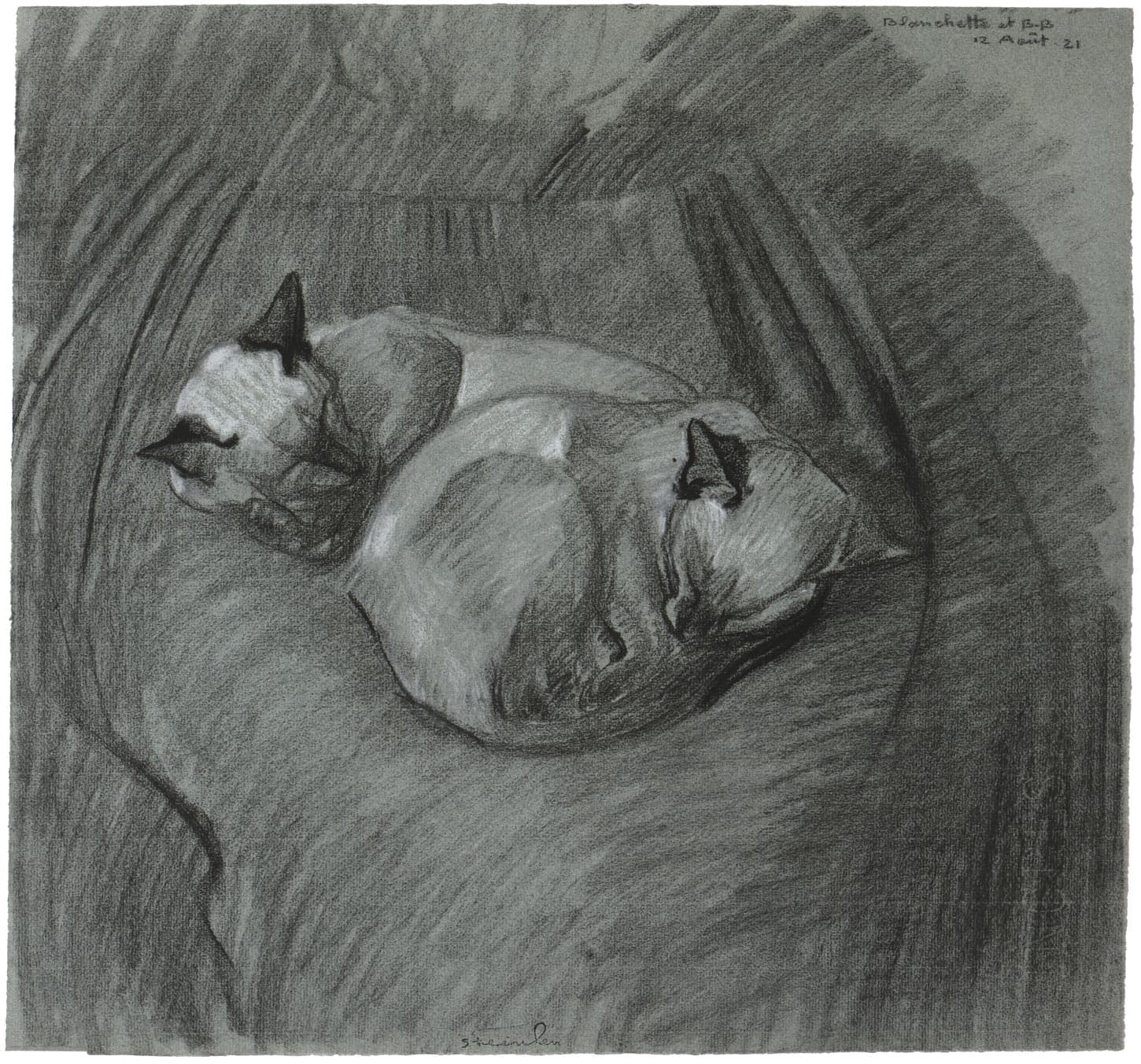 Blanchette et B. B. ; deux chats endormis (two sleeping cats)