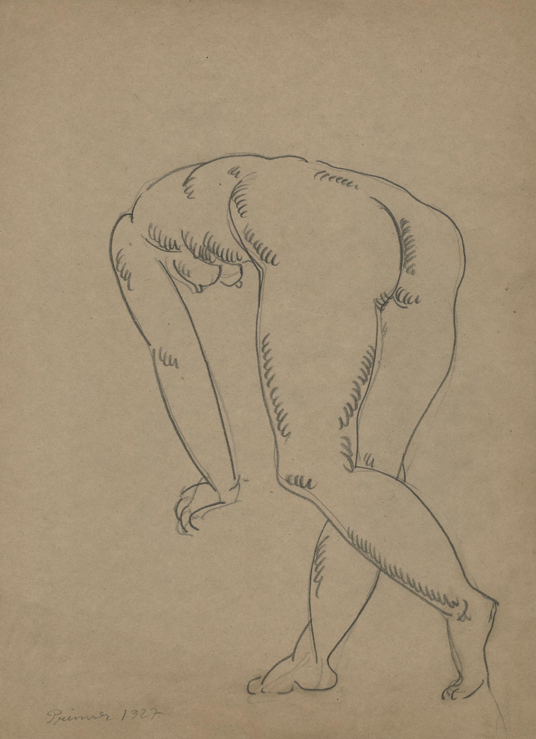 Figure drawing. Woman from the back, leaning