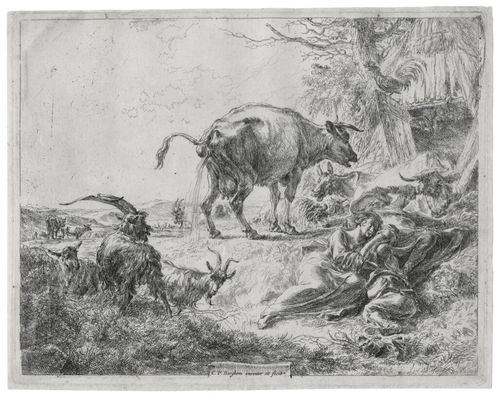 Berchem – La vache qui pisse