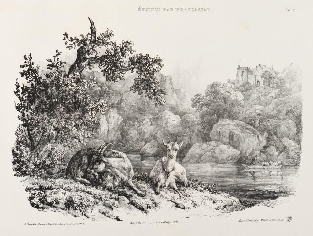 Brascassat – Chèvres au bord d’un lac