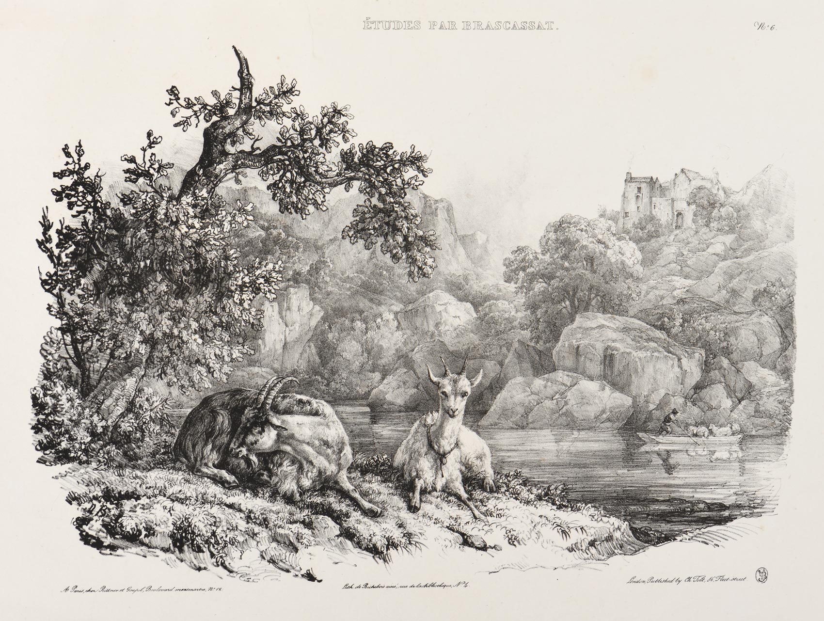 Chèvres au bord d'un lac