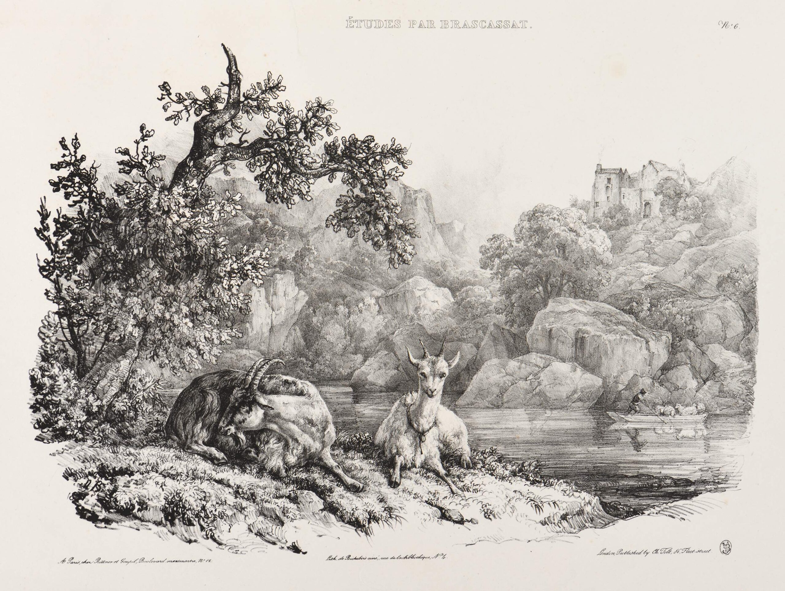 Chèvres au bord d'un lac