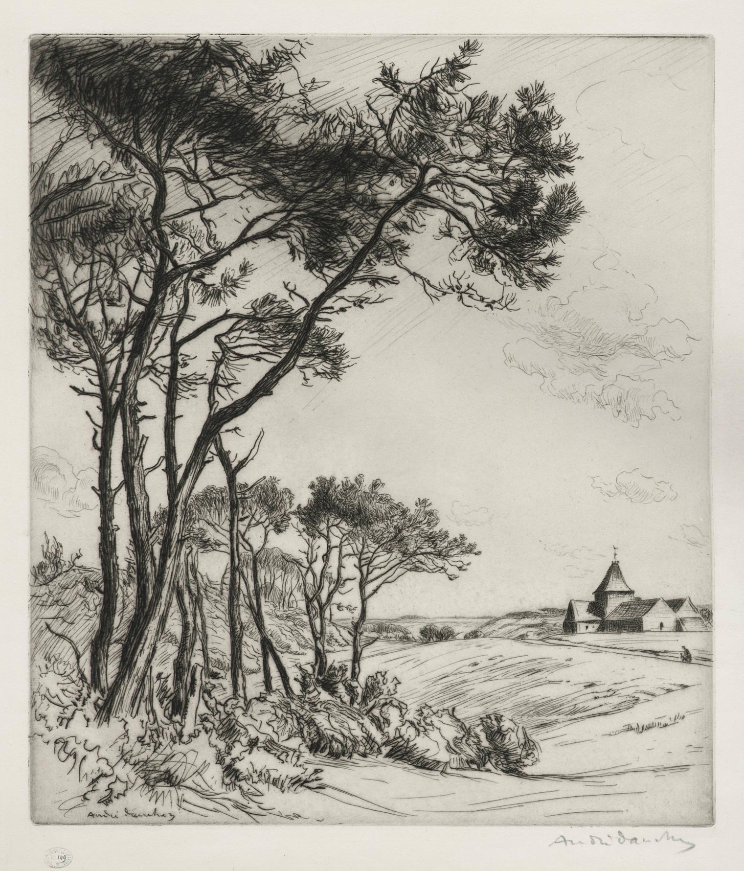 Pine trees in Varengeville