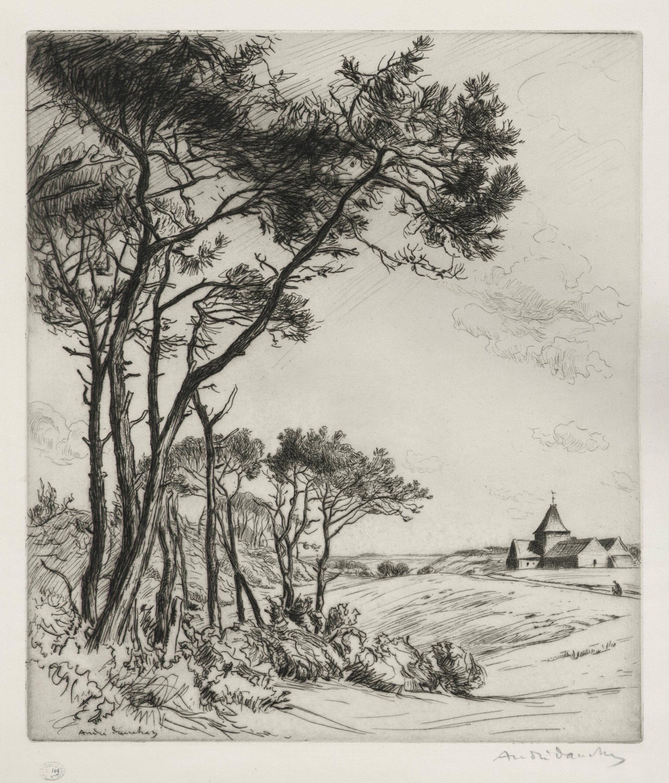 Pins à Varengeville