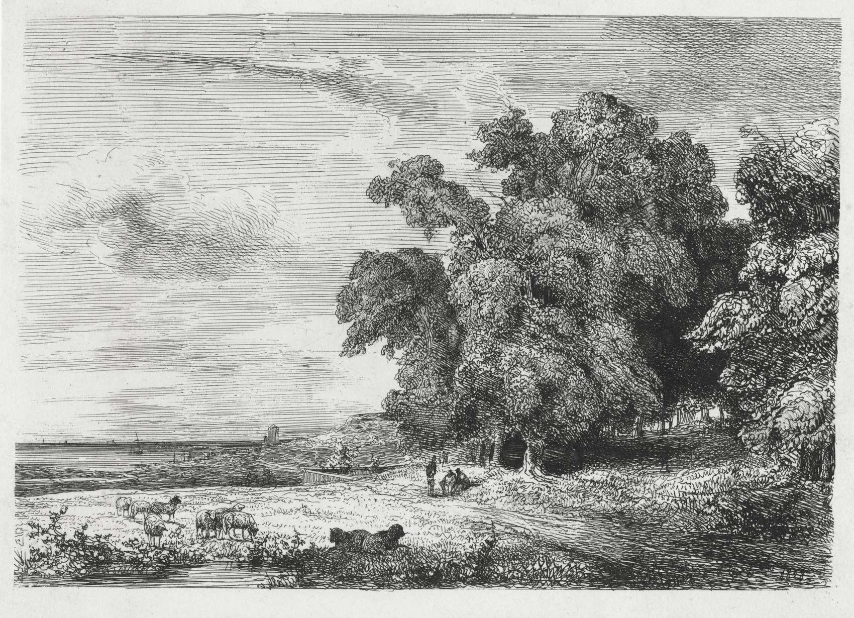 Landscape with a river on the left and tall trees on the right