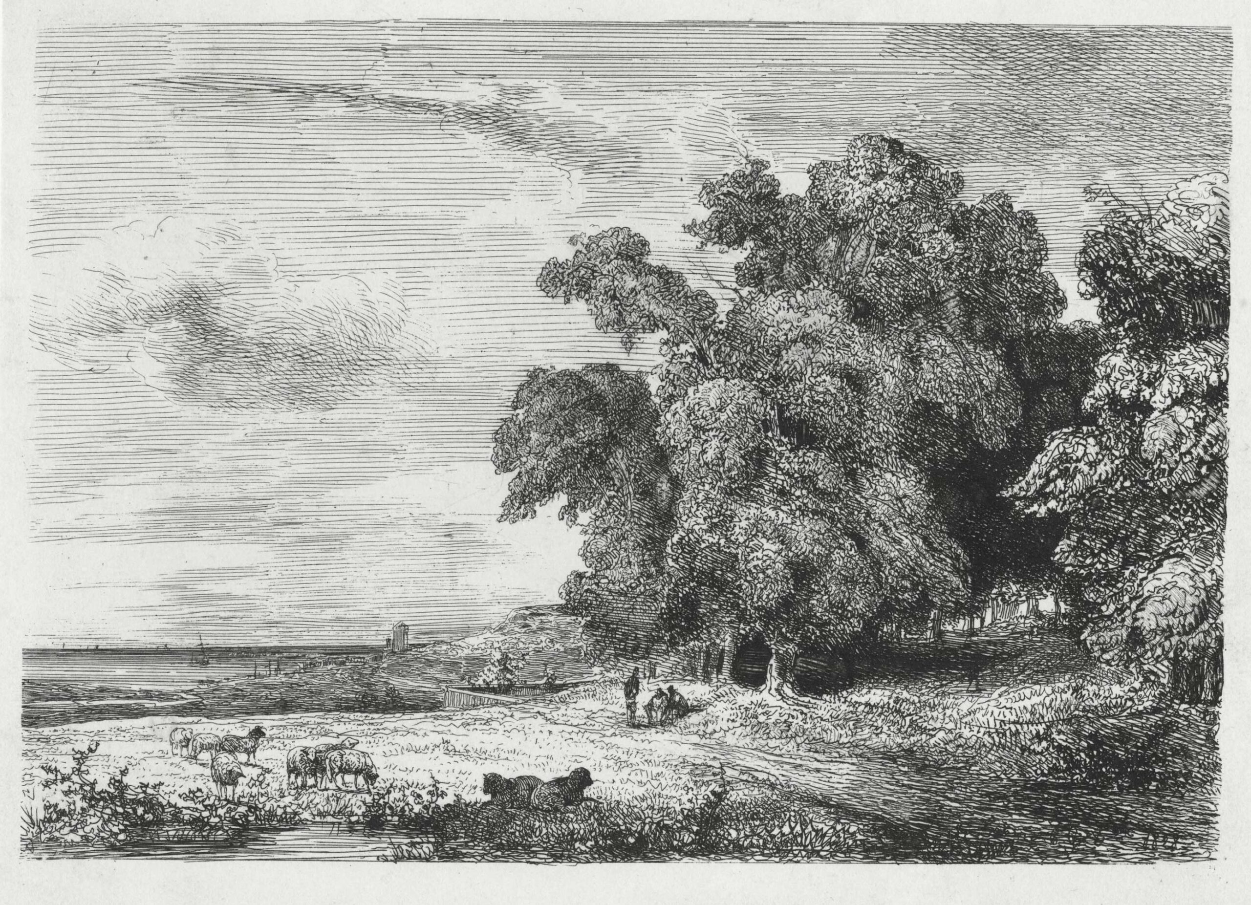 Paysage avec un fleuve à gauche et des grands arbres à droite