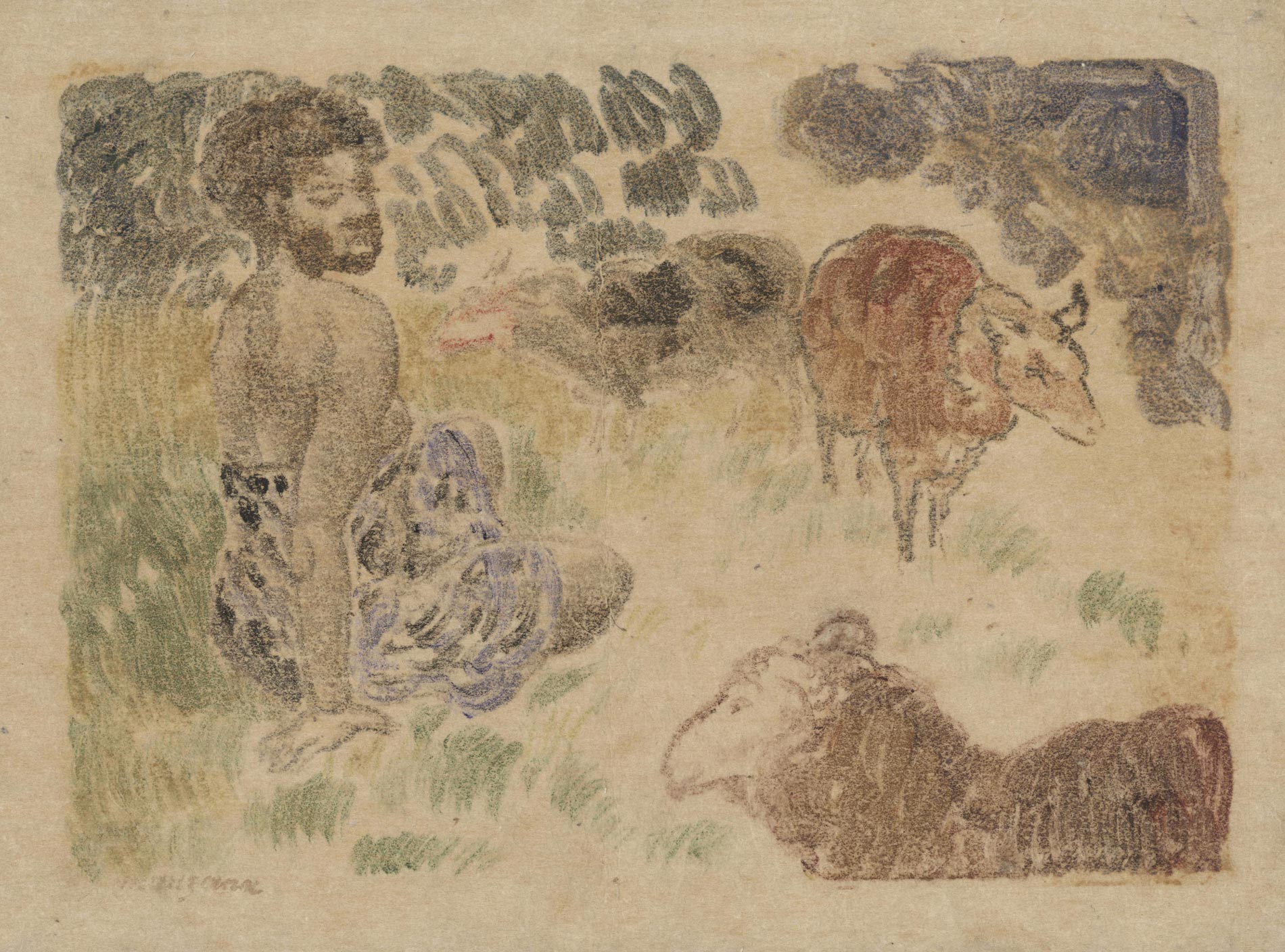 Woman sitting in the grass surrounded by sheeps