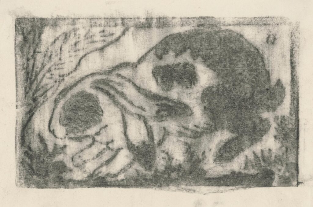 Manzana-Pissaro – Lapin bélier