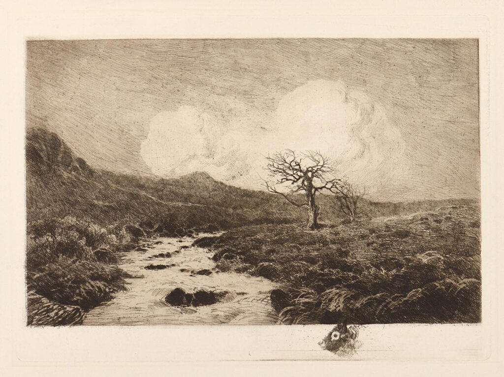 Viala – Torrent sous le Causse ou Le Torrent sous les Causses