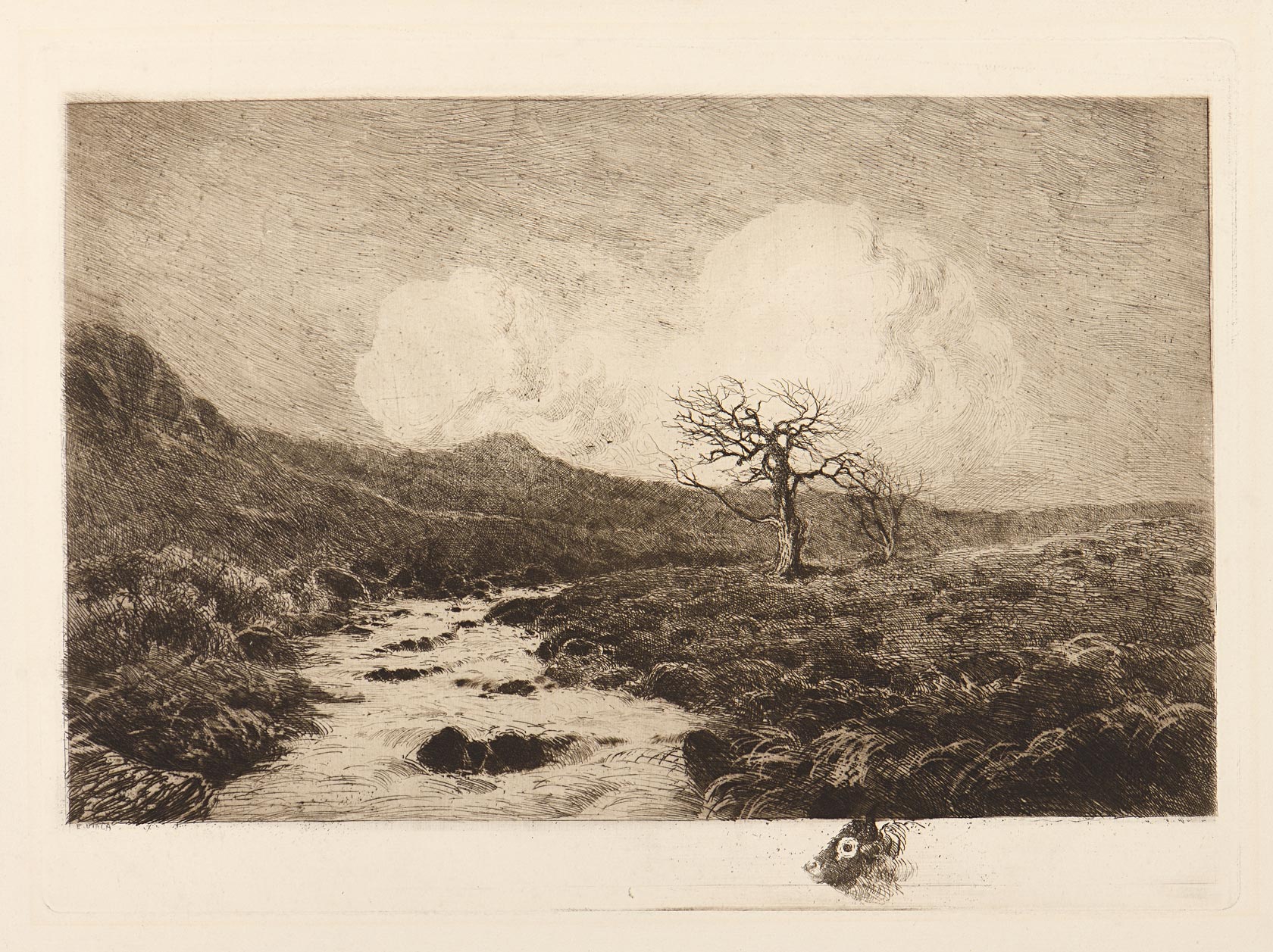 Torrent under le Causse or The Torrent under les Causses