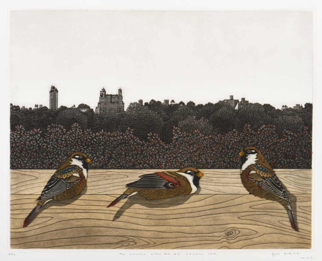 Estèbe – Trois moineaux. Central Park. N.Y. 23 octobre 2019