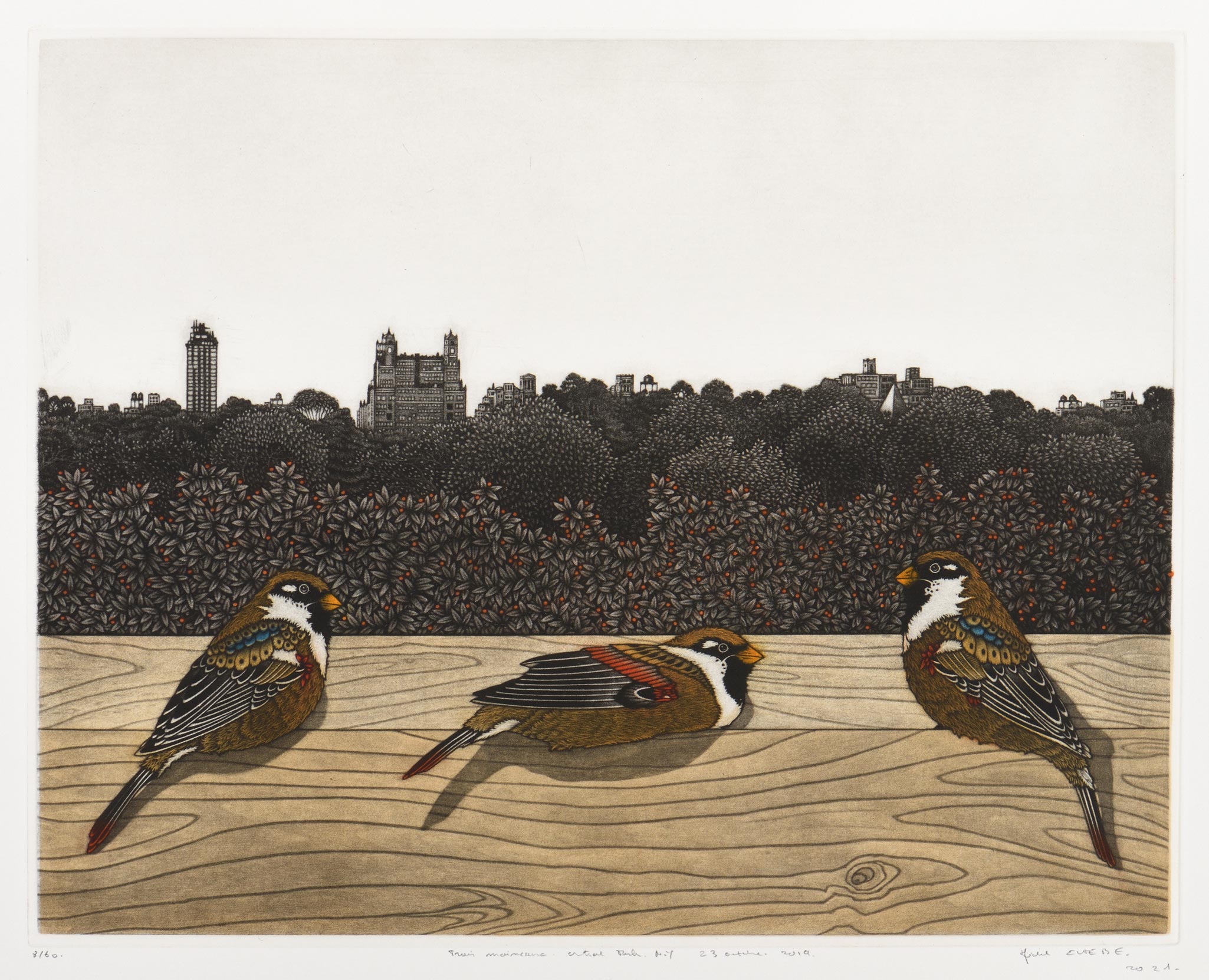 Trois moineaux. Central Park. N.Y. 23 octobre 2019