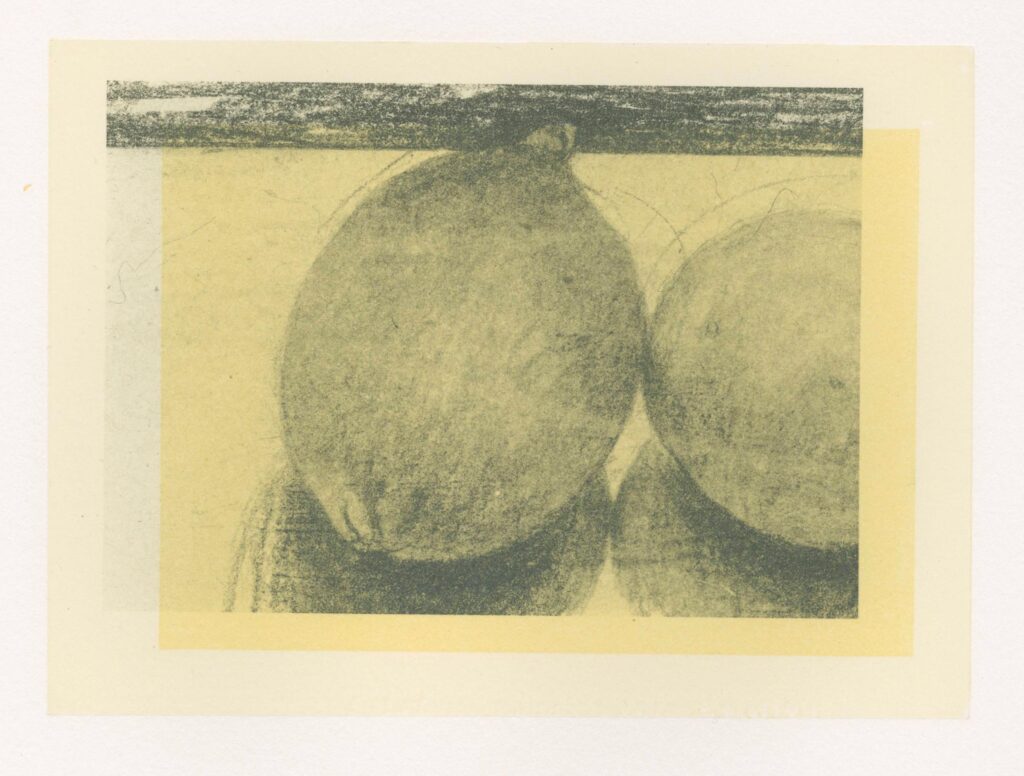 Ostovani – Perfect lemon