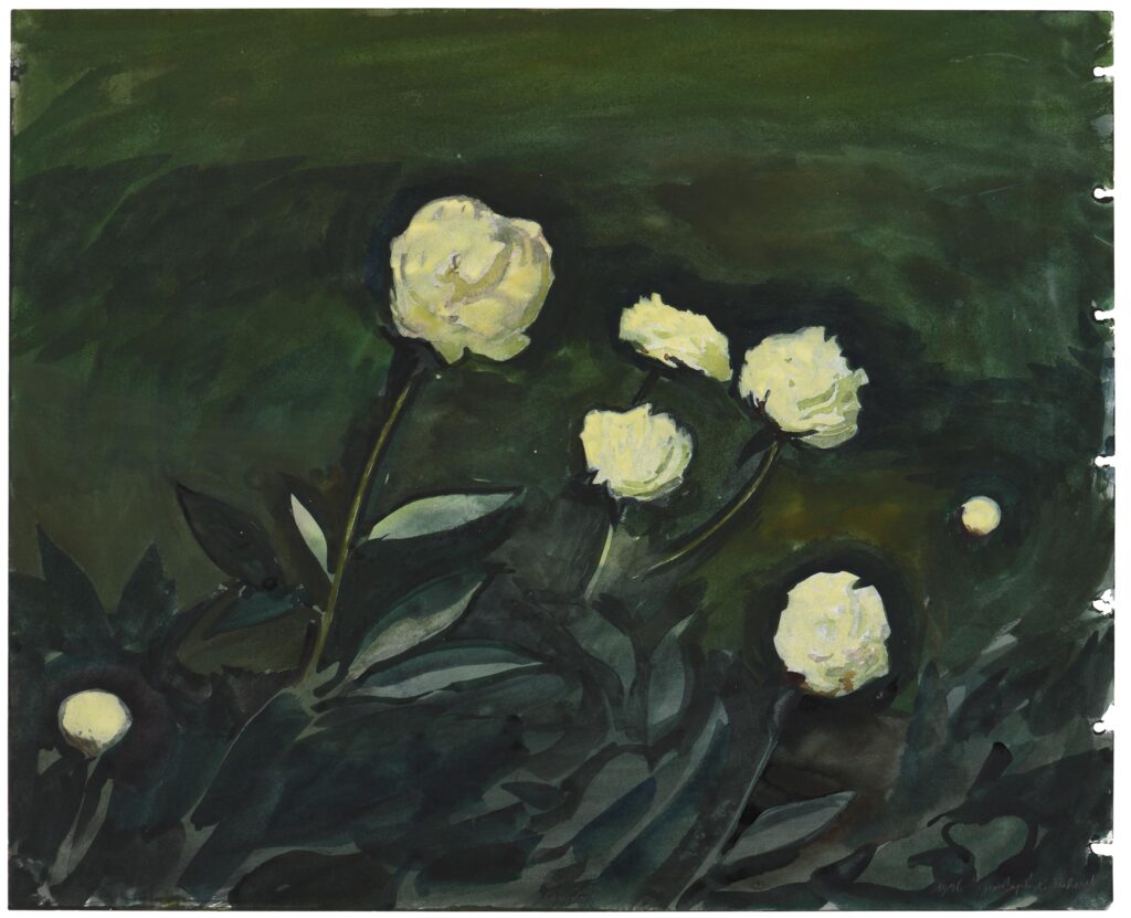 Sécheret – Pivoines