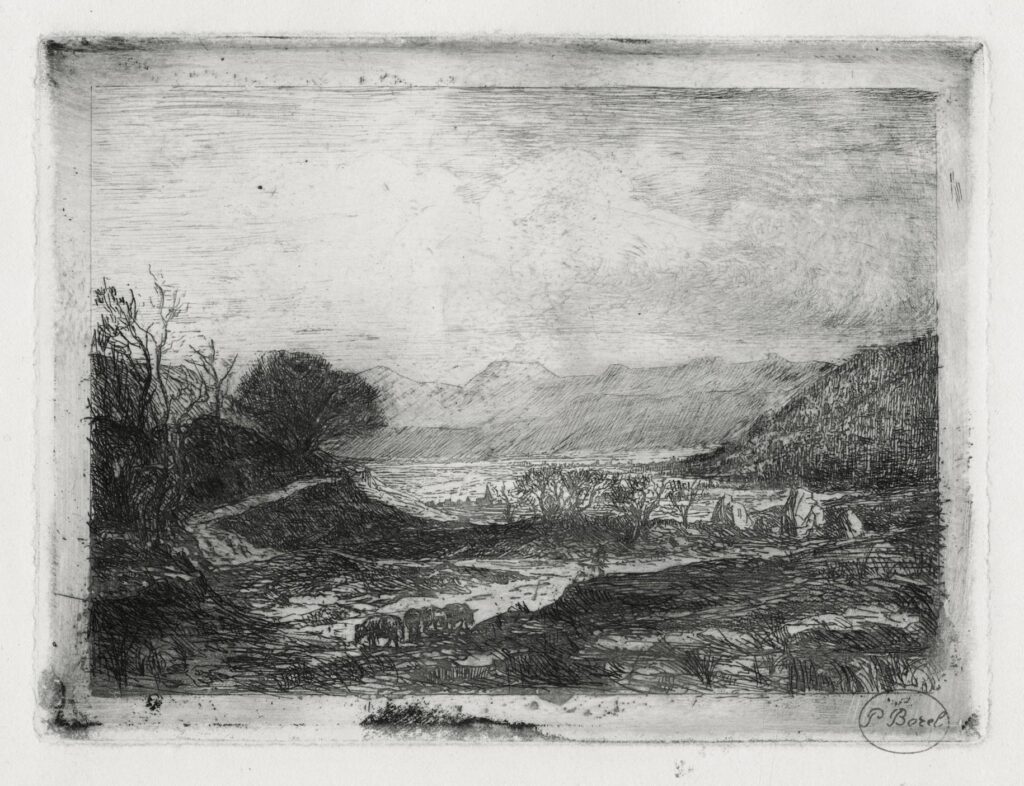 Borel – Chemin de montagne