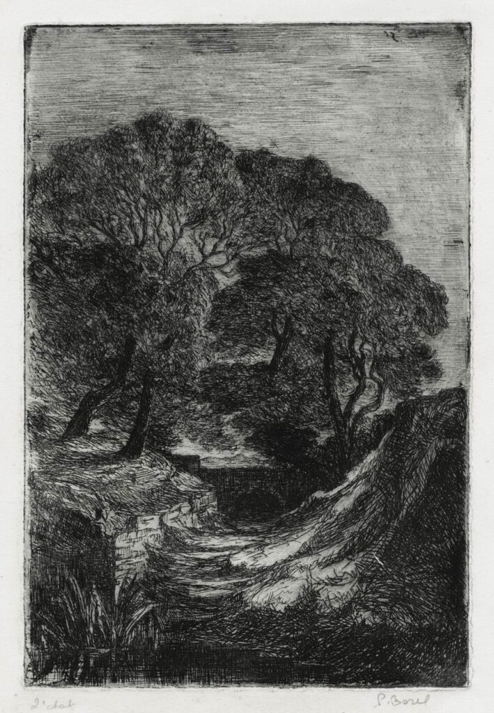 Borel – Le petit pont sous les arbres