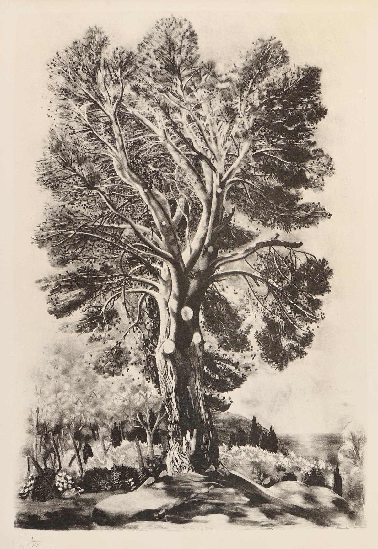 Landscape with a large tree