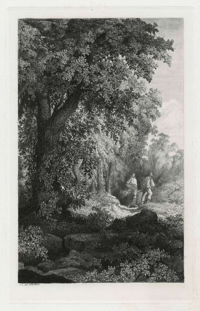 Malardot – Paysage avec trois flamants au bord d’une mare