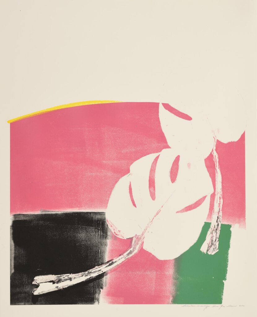 Labrunie – Arboretum (composition aux deux feuilles de Monstera, dominantes rose et verte)