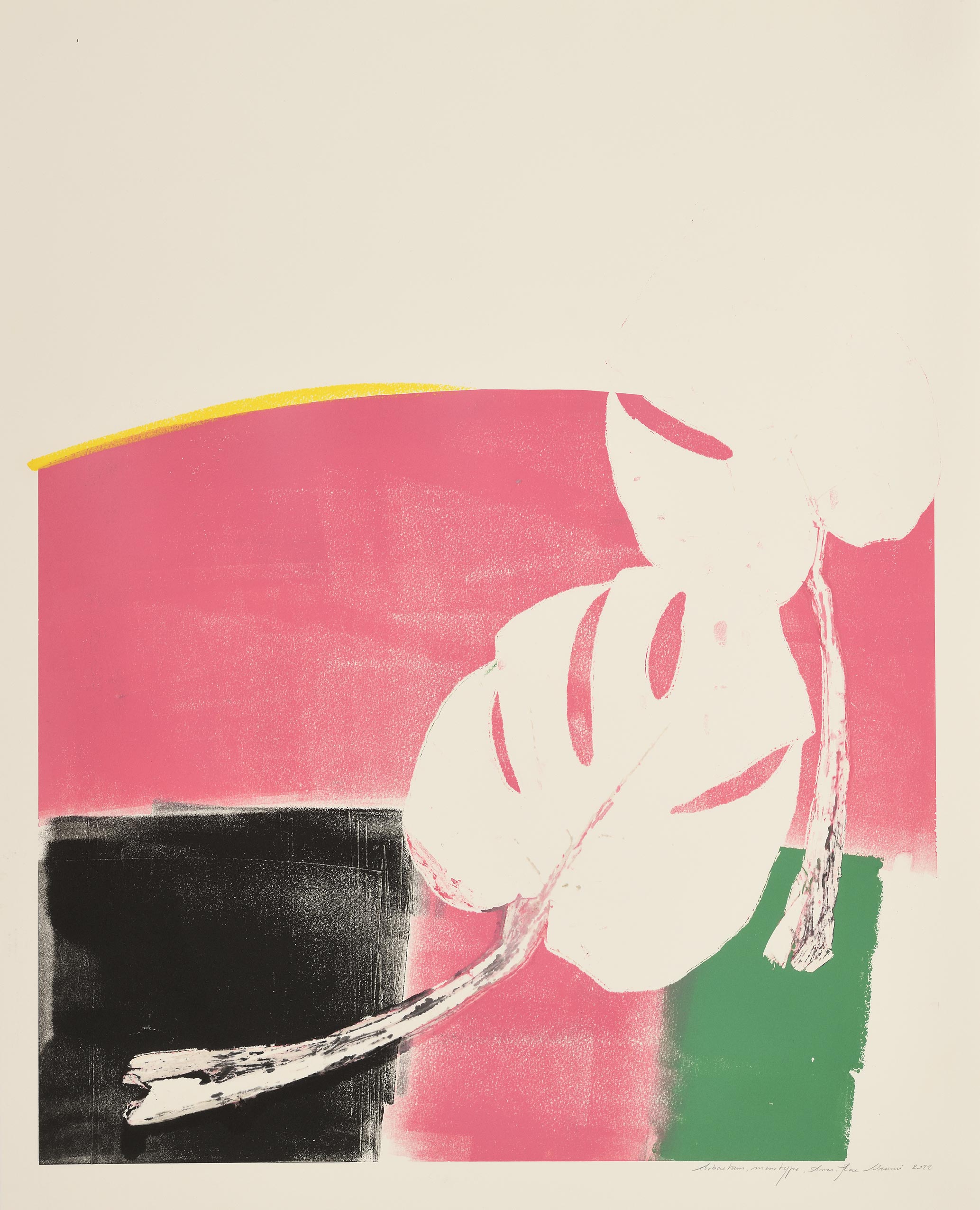 Arboretum (composition with two leaves of Monstera, pink and green prevailing)