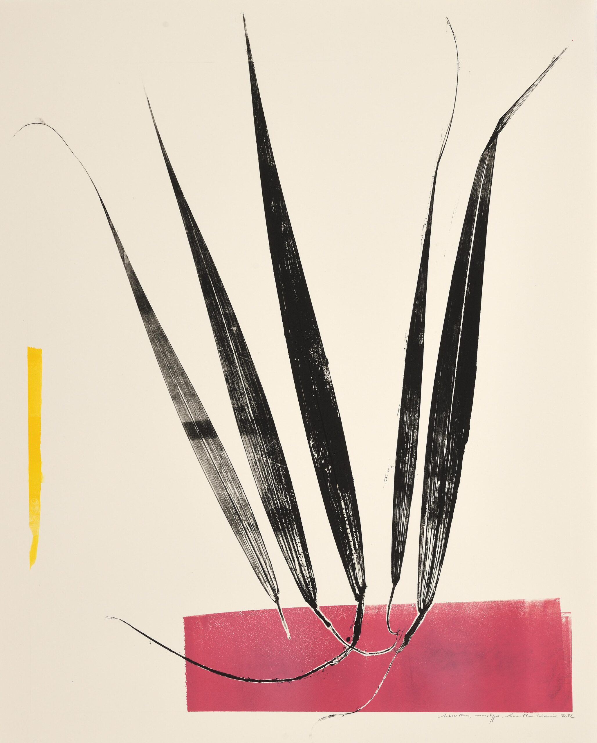 Arboretum (composition aux éléments de palme, dominantes rose et jaune)