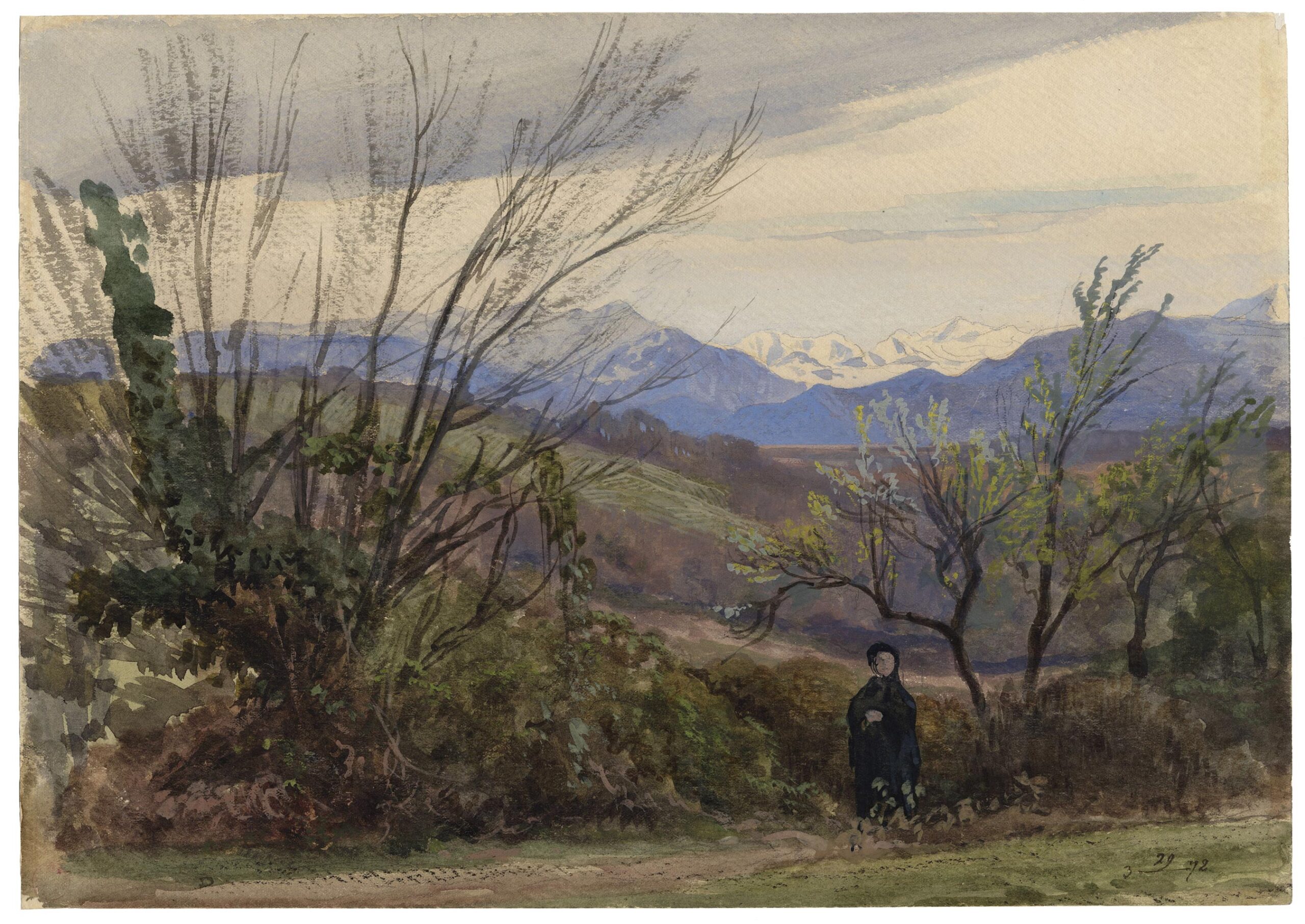 Vue sur les Pyrénées