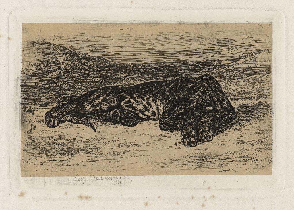 Delacroix – Tigre couché dans le désert