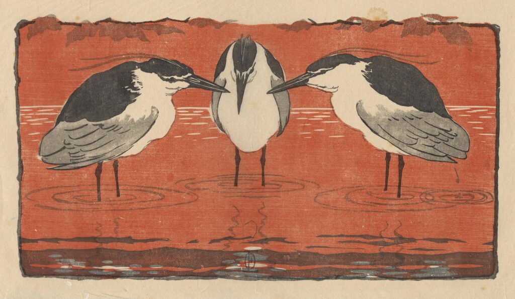 Eckmann (Otto) – Héron bihoreau