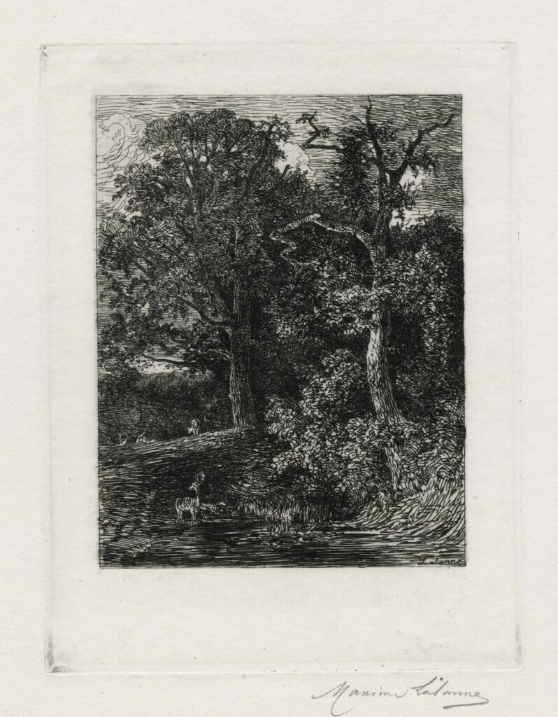 Lallane – En forêt, crépuscule