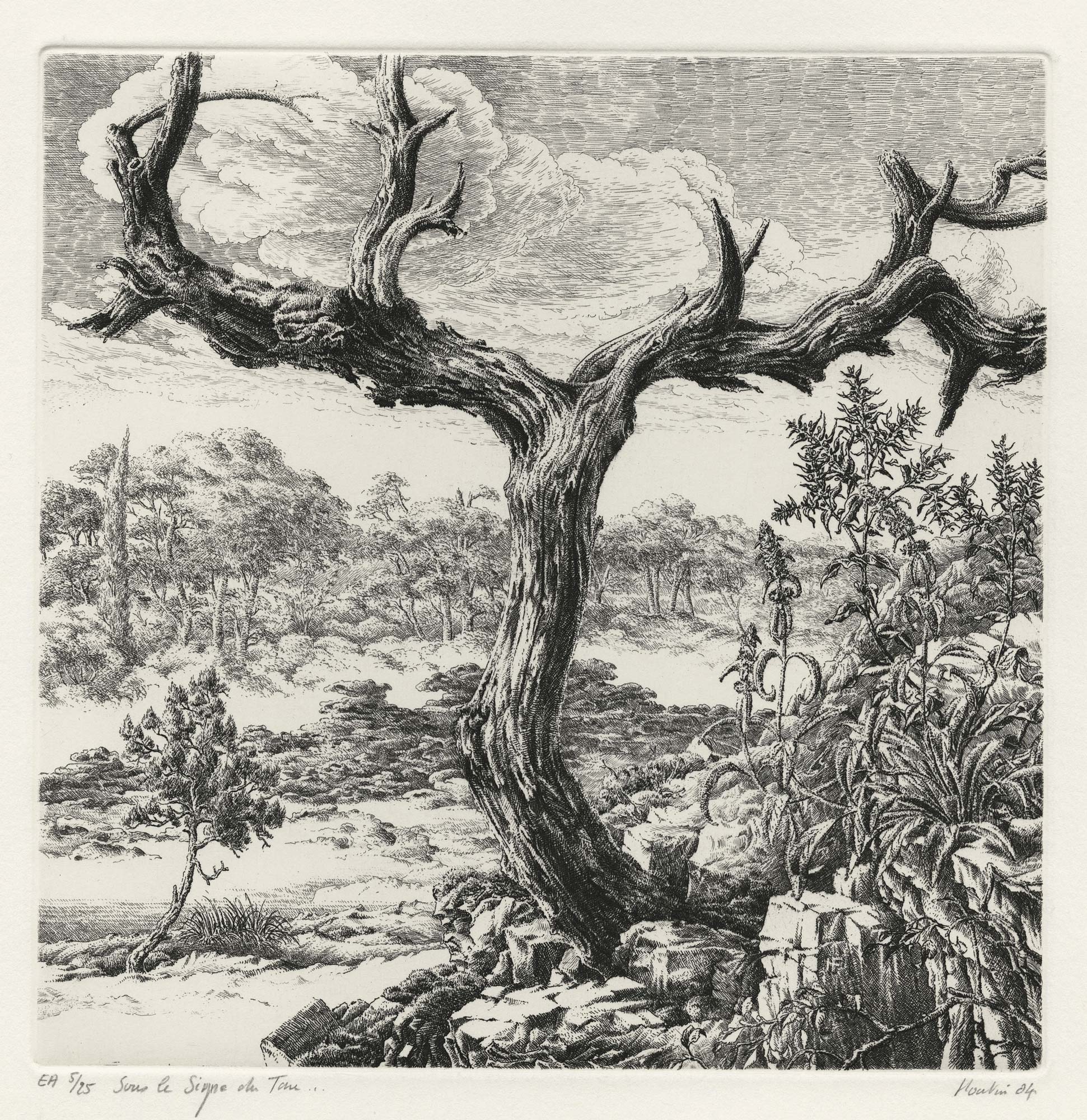 Sous le signe du Tau