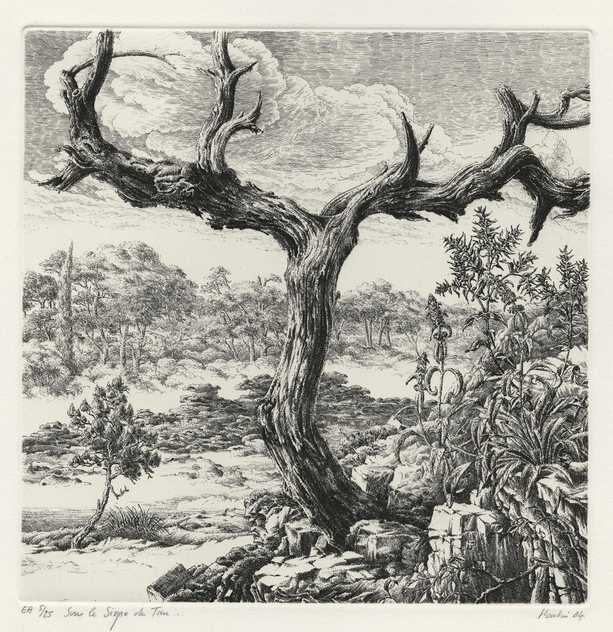 Sous le signe du Tau (Under the sign of the Tau)