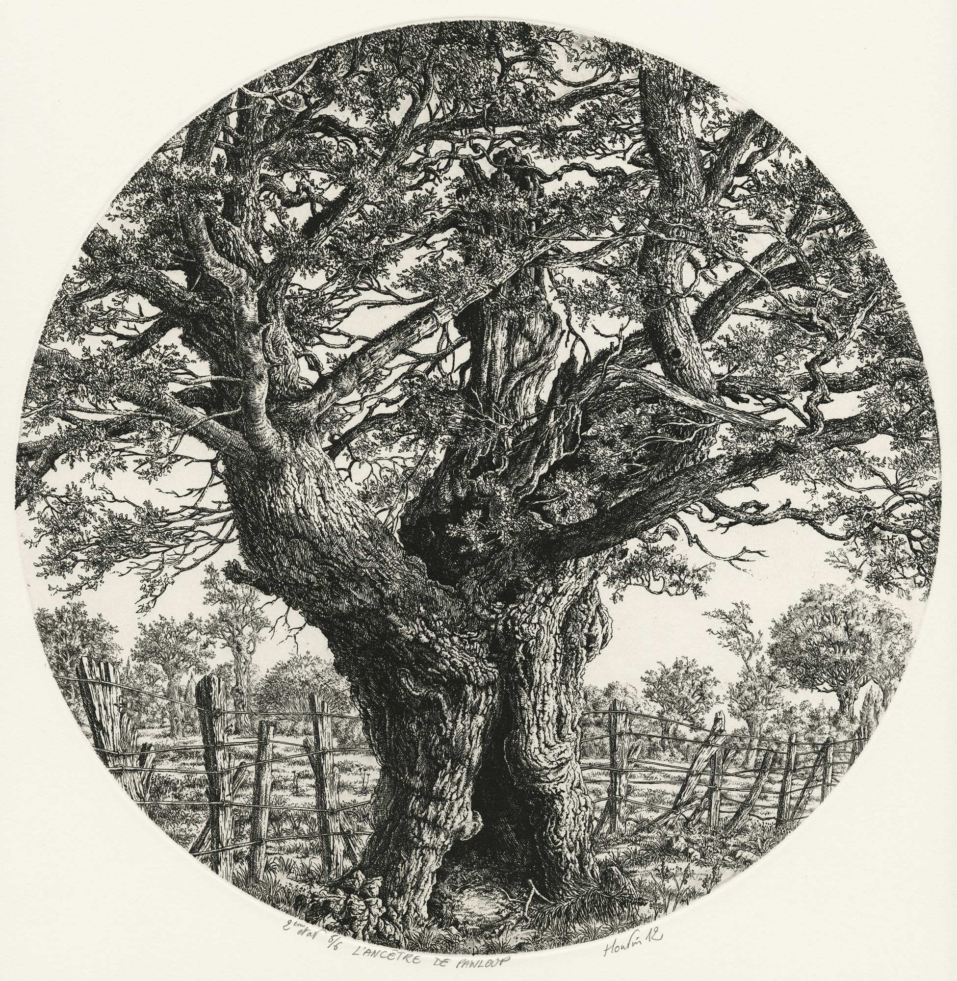 L’ancêtre de Panloup