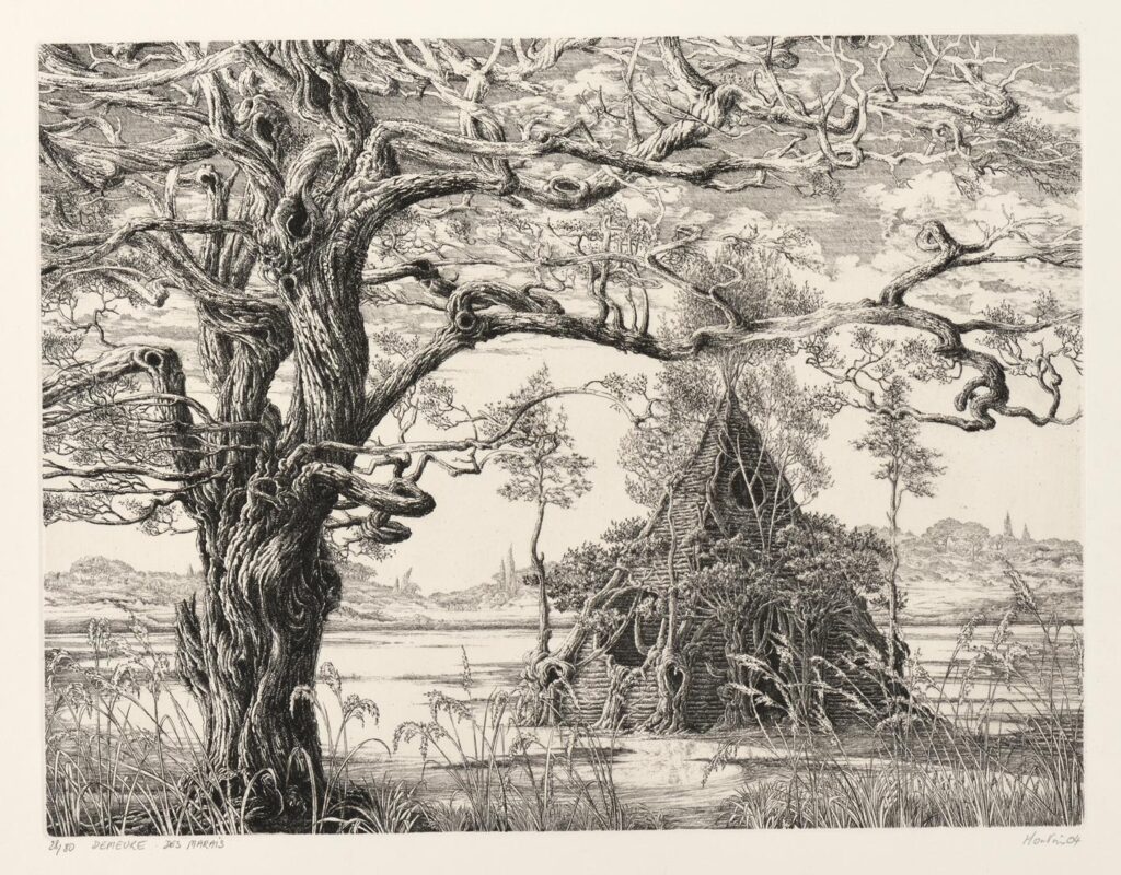 Houtin – Demeure des marais