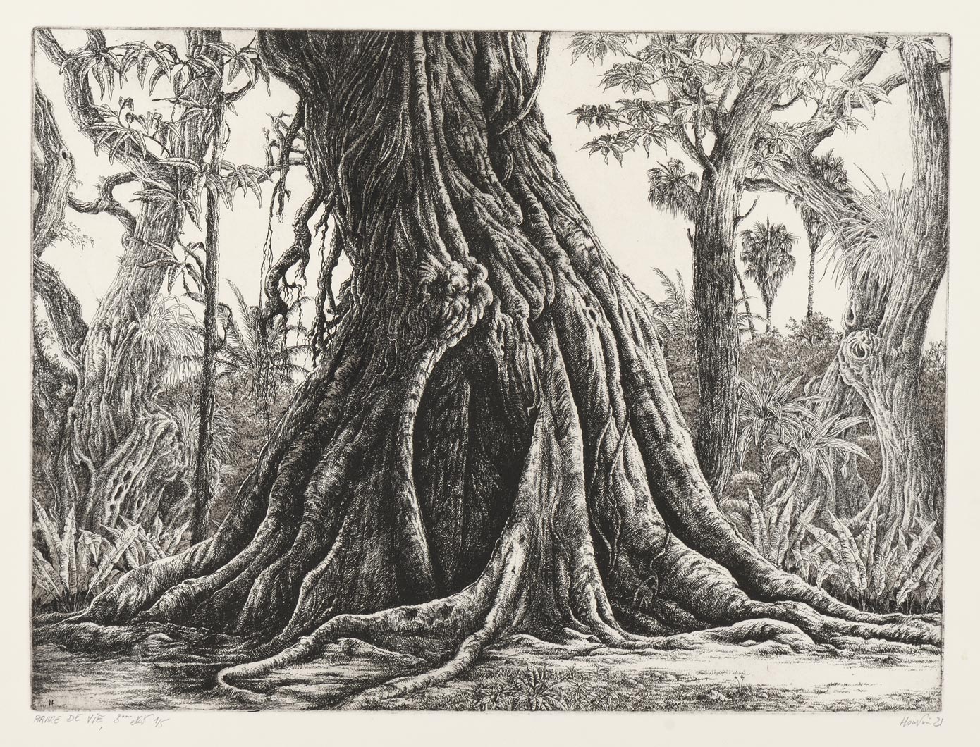 Arbre de vie (Tree of life)