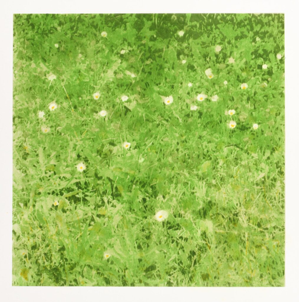 Poillerat – Nu féminin